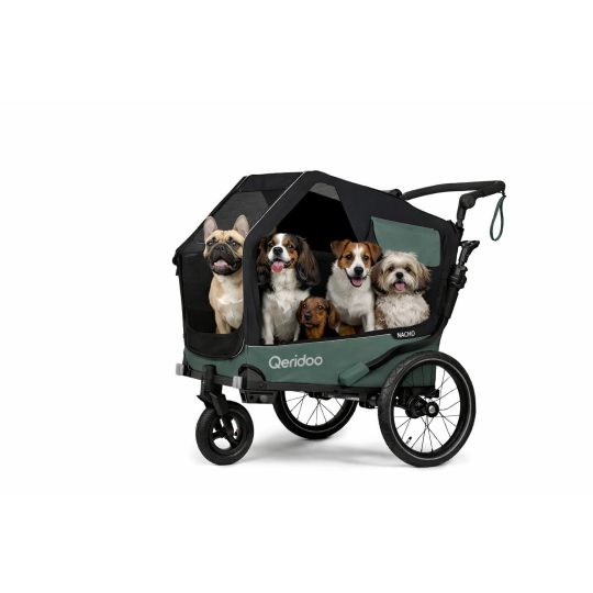 Qeridoo Nacho Hundeanhänger M Grün – 2-in-1 Buggy & Fahrradanhänger mit Federung