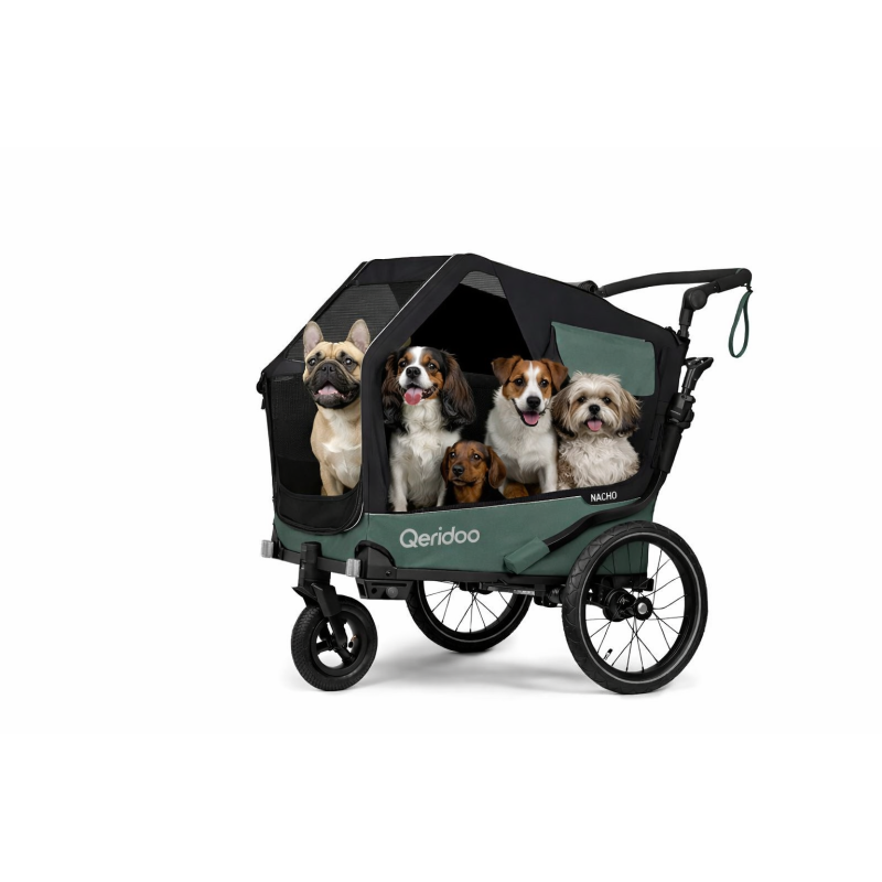 Qeridoo Nacho Hundeanhänger M Grün – 2-in-1 Buggy & Fahrradanhänger mit Federung