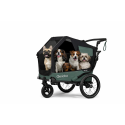 Qeridoo Nacho Hundeanhänger M Grün – 2-in-1 Buggy & Fahrradanhänger mit Federung