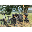 Qeridoo Nacho Hundeanhänger M Grün – 2-in-1 Buggy & Fahrradanhänger mit Federung