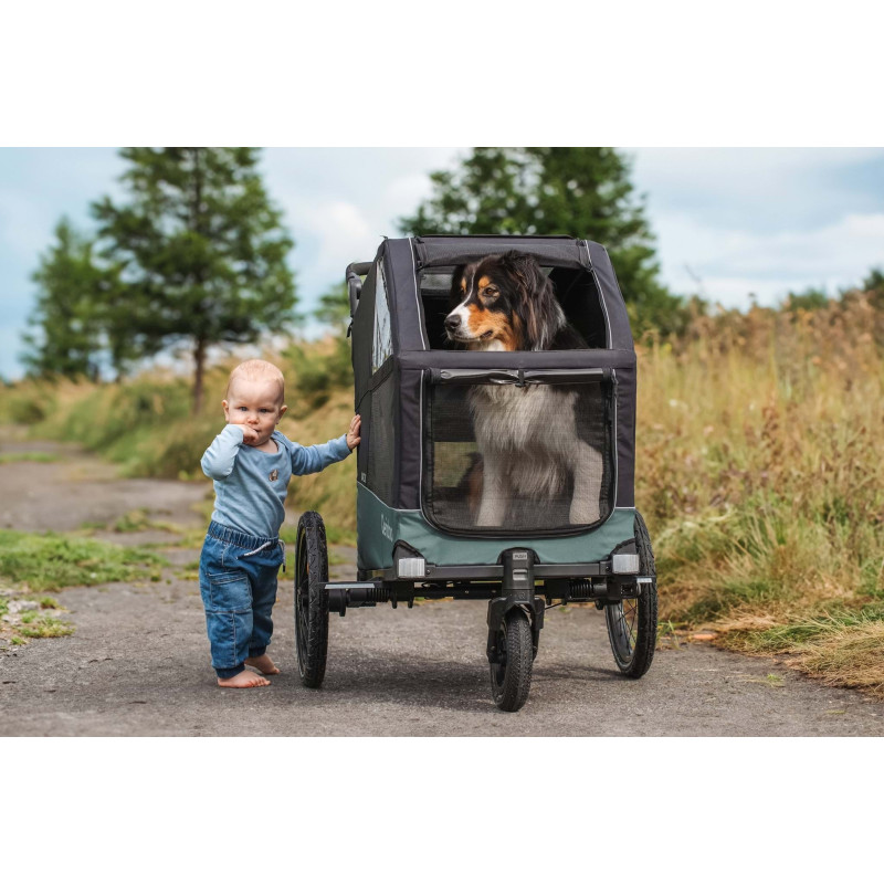 Qeridoo Nacho Hundeanhänger M Grün – 2-in-1 Buggy & Fahrradanhänger mit Federung