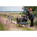 Qeridoo Nacho Hundeanhänger M Grün – 2-in-1 Buggy & Fahrradanhänger mit Federung