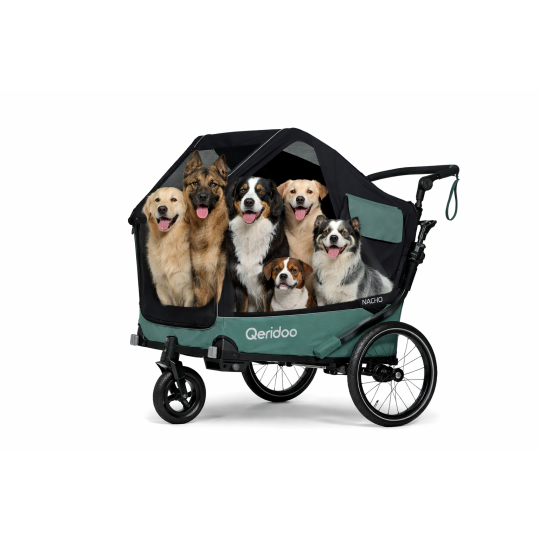 Qeridoo Nacho L hondenfietskar – 2-in-1 buggy & fietskar voor grote honden