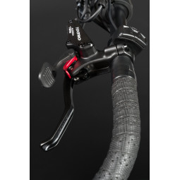 Bimas eCargo 3.3 Economy E-Lastenrad – Hinterradmotor - British Racing Green