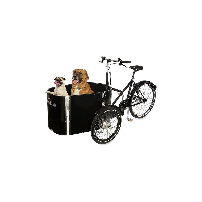 Nihola dog cargo trike