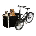 Nihola dog lastentransportrad für hunde