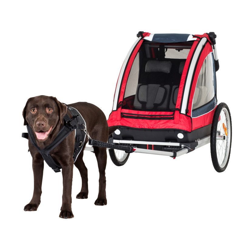 Nordic Cab dog Set