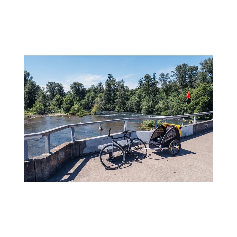 Burley Bee remorque enfant pour vélo