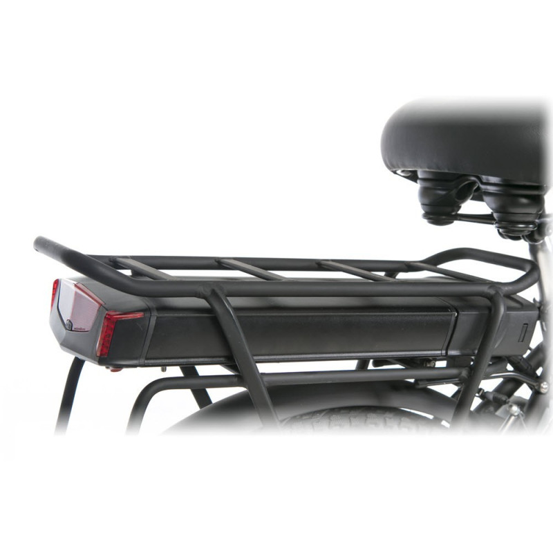 battery for cangoo trike