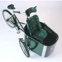 Nihola Rehab Electric child cargo trike