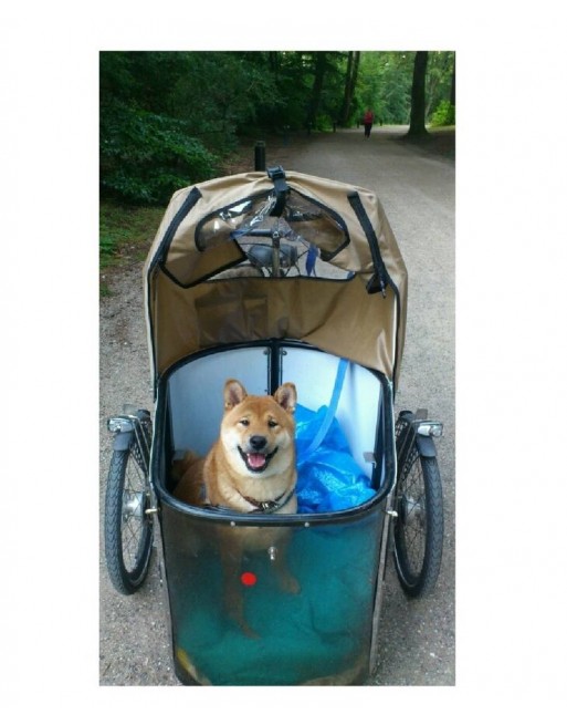 nihola dog  cargo tricycle for dogs