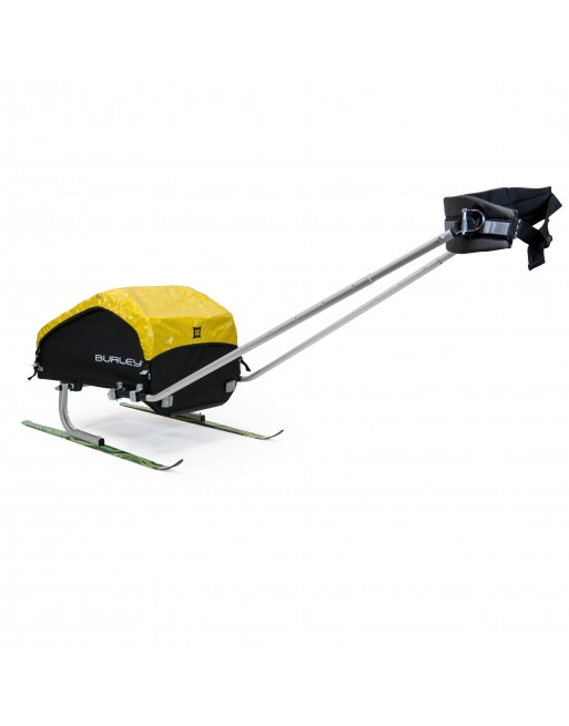 Burley ski Set