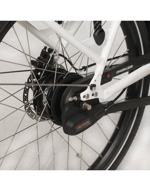 Soci.bike triporteur électrique vert armée