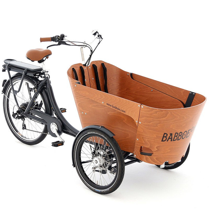 Babboe Carve-E