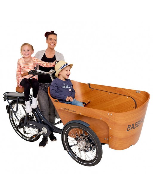 Babboe Carve-E