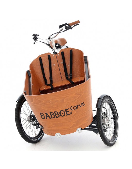 Babboe Carve-E