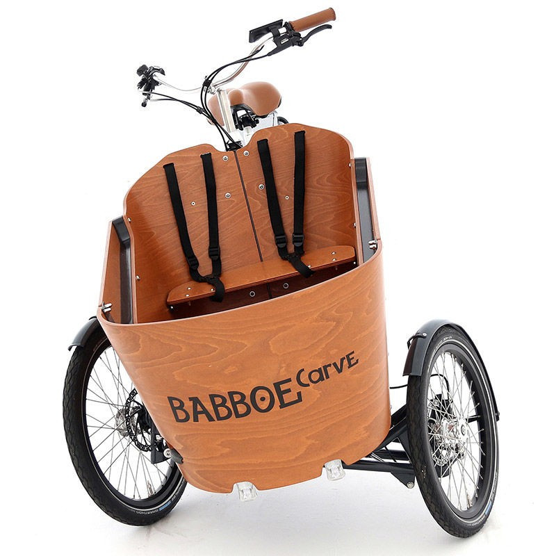 Babboe Carve-E