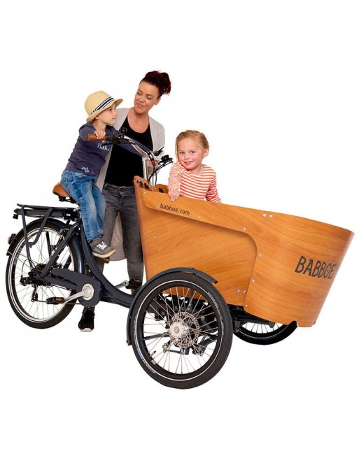 Babboe Carve-E