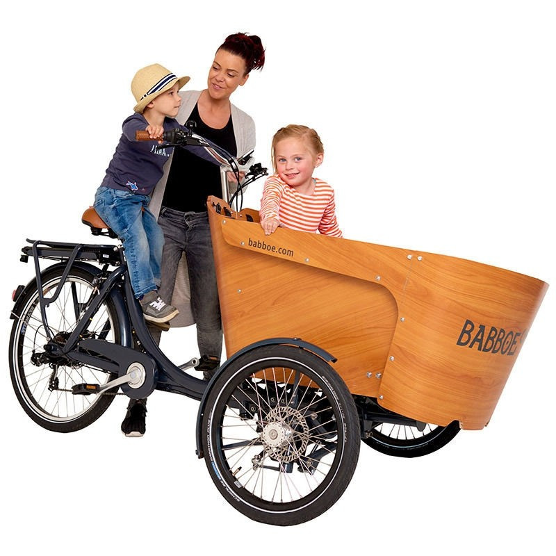Babboe Carve-E