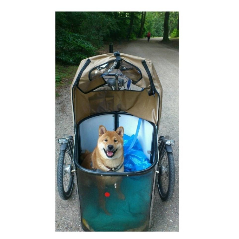 Nihola Dog elektrische bakfiets voor hond