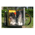 nihola dog Elektro lastentransportrad für hund