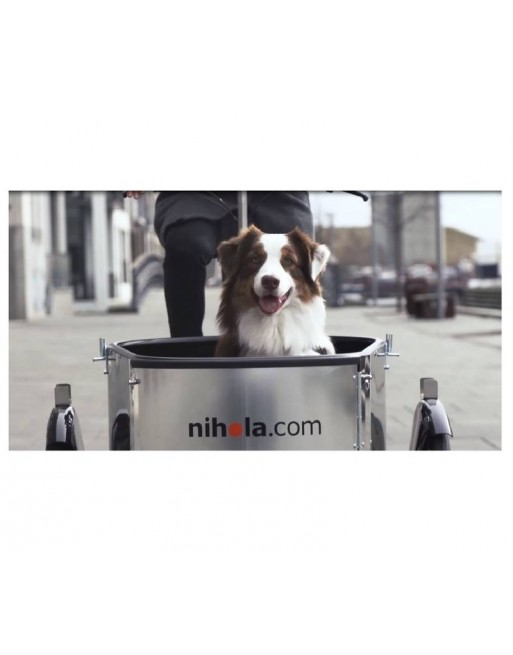 nihola dog  electric cargo tricycle for dogs