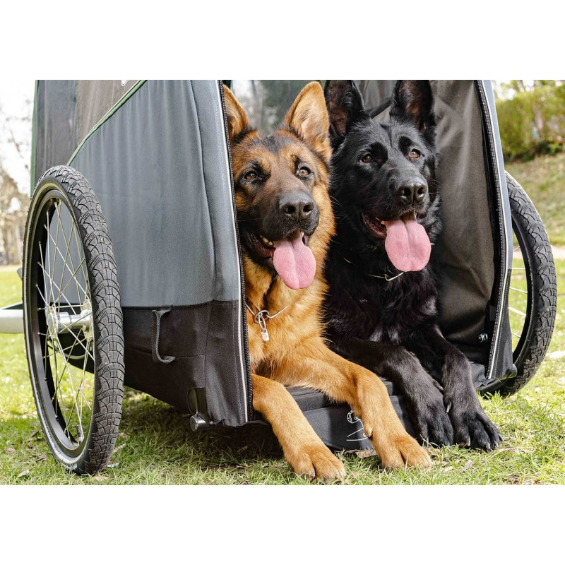 Croozer dog XXL Bruuno hondenfietskar