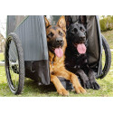Croozer dog XXL Bruuno hundeanhänger
