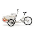 TrioBike Mono E - Mid drive 508Wh