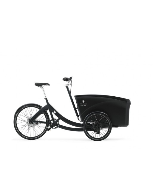 Triobike boxter E electrisch bakfiets
