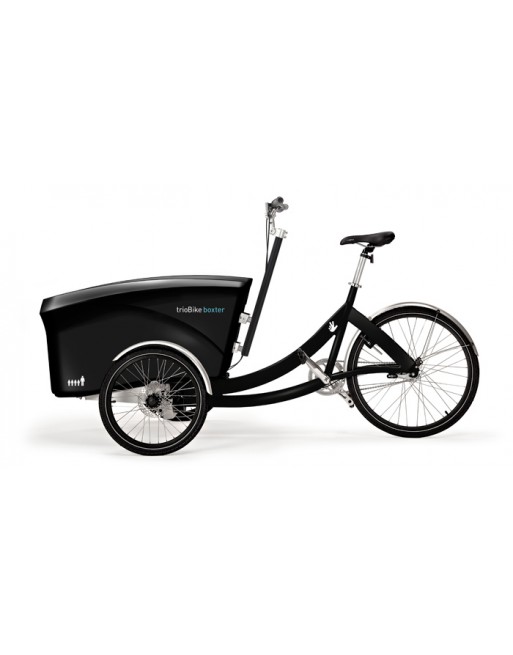 Triobike E-Boxter kindertransportrad elektro
