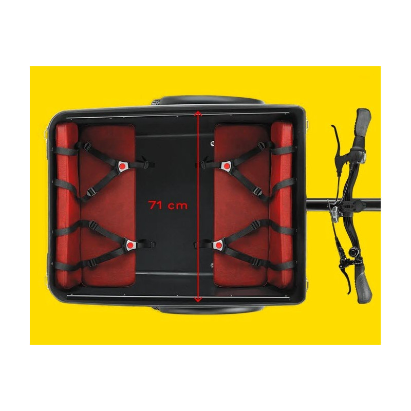 Triobike E-Boxter kindertransportrad elektro