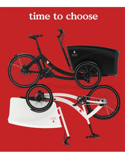 Triobike boxter E electrisch bakfiets