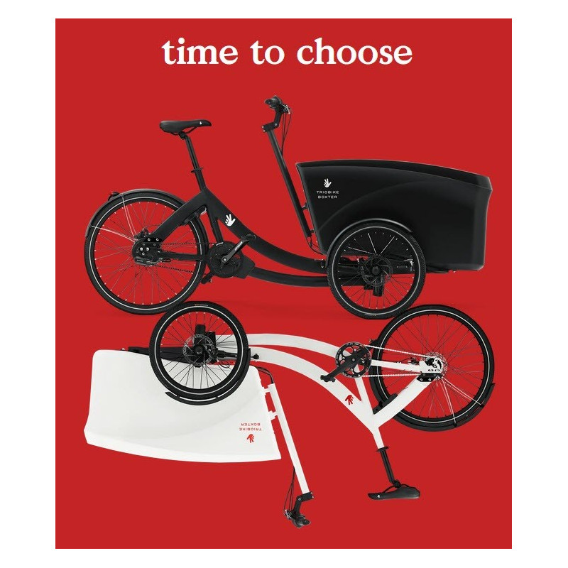 Triobike E-Boxter kindertransportrad elektro