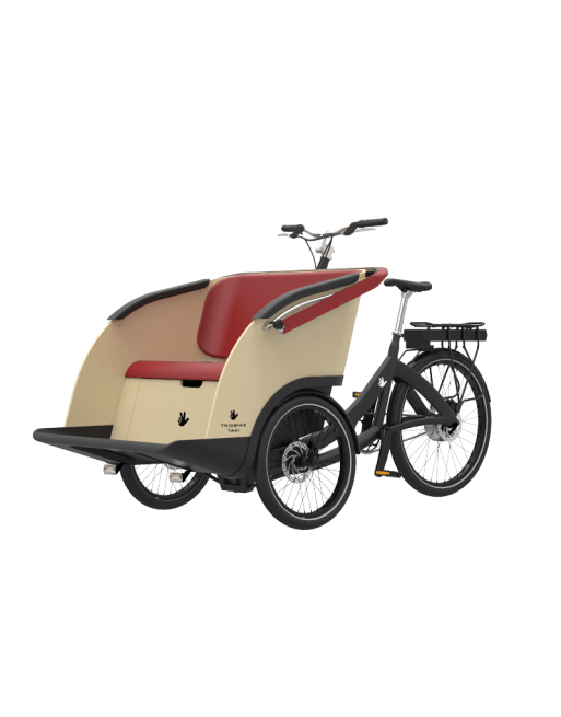 Triobike taxi tricycle