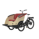 Triobike taxi tricycle