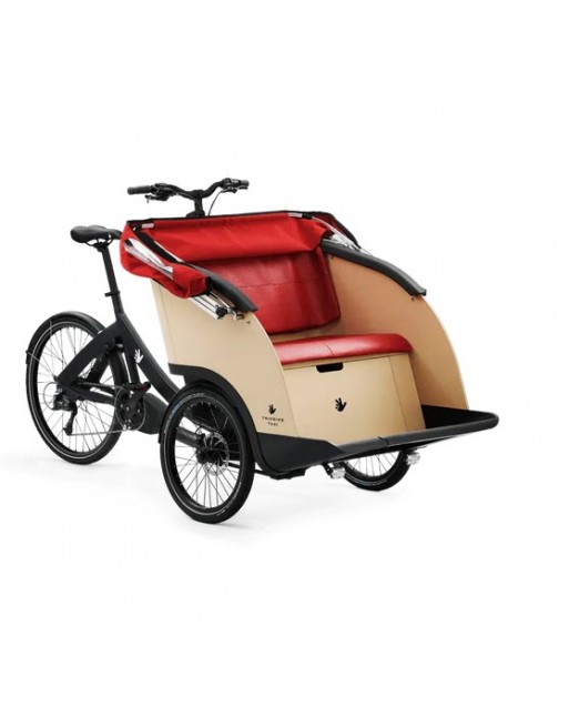 Triobike taxi triporteur