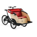 Triobike taxi tricycle