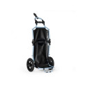 Burley Travoy cargo bike trailer
