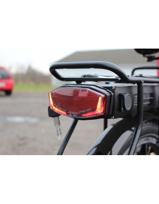 Nihola dog triporteur électrique pour chiens