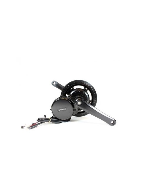 nihola dog  electric cargo tricycle for dogs