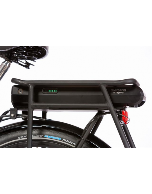 Bakfiets.nl Cargobike Cruiser Short electric - Magura HS11