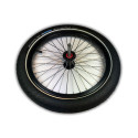 Roland carrie 16 inch wheel with thru axle and tires
