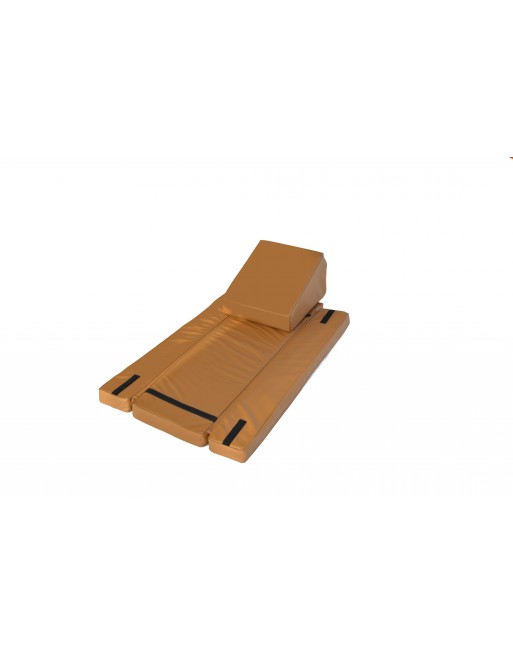 Scandinavian Side bike seat for 2 kids
