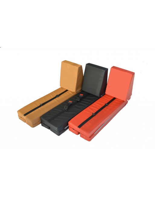 Scandinavian Side bike seat for 2 kids