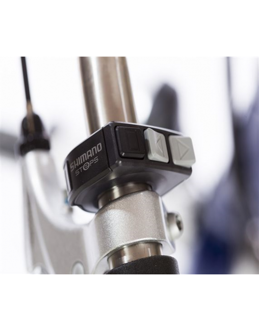 Bakfiets.nl Cargobike Classic Long electric - Disc brakes