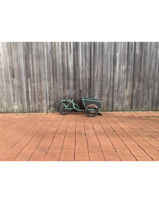 Soci.bike Elektro lastendreirad Armee grün