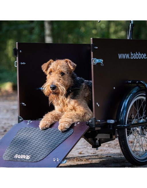 Babboe Dog elektrische hondenbakfiets