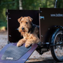 Babboe Dog elektrische hondenbakfiets