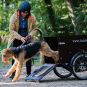 Babboe Dog elektrische hondenbakfiets